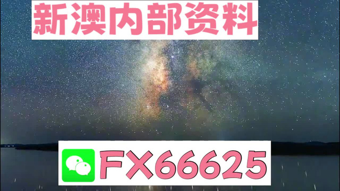 2024新澳天天免费资料,绝对经典解释落实_Lite56.937