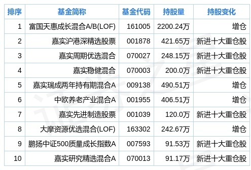 2024新奥资料免费精准061,数据资料解释落实_轻量版80.790