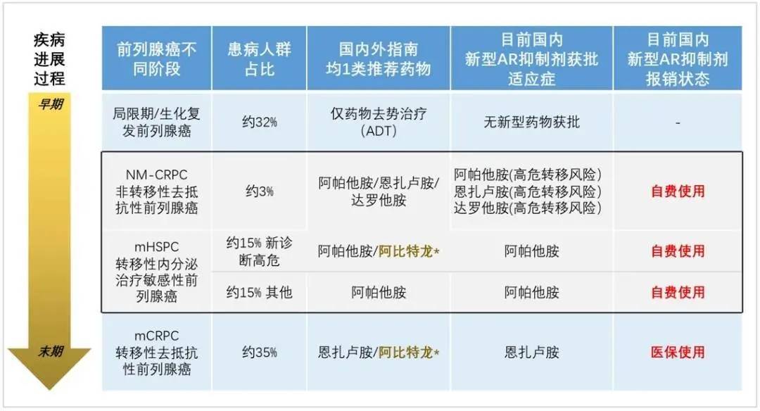 今晚必出三肖,实地评估说明_AR40.706