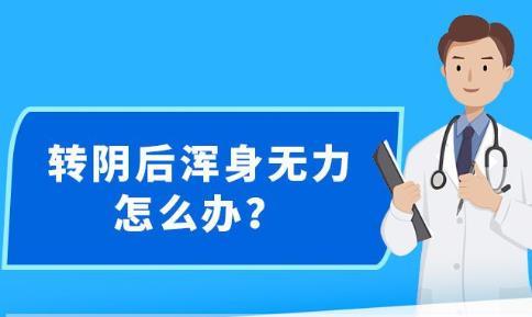 新澳精准资料免费大全,广泛的关注解释落实热议_XE版48.536