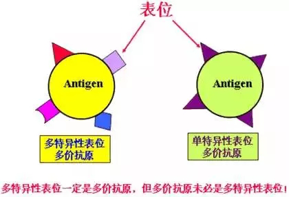 三肖必中三期必出资料,数据整合执行设计_冒险款74.302